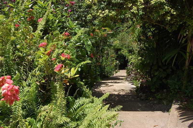 Inn At Shaw Park Gardens & Waterfalls Ότσο Ρίος Εξωτερικό φωτογραφία